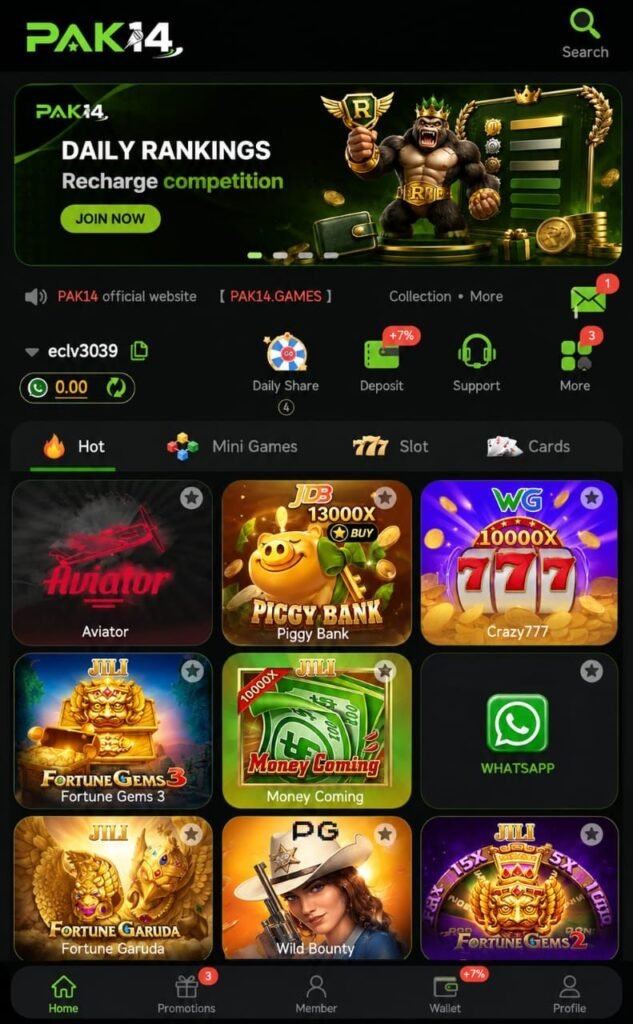 PAK14 Game
