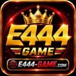 E444 Game