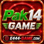 PAK14 Game