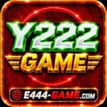 Y222 Game