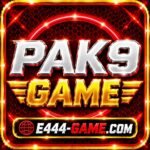 PAK9 Game